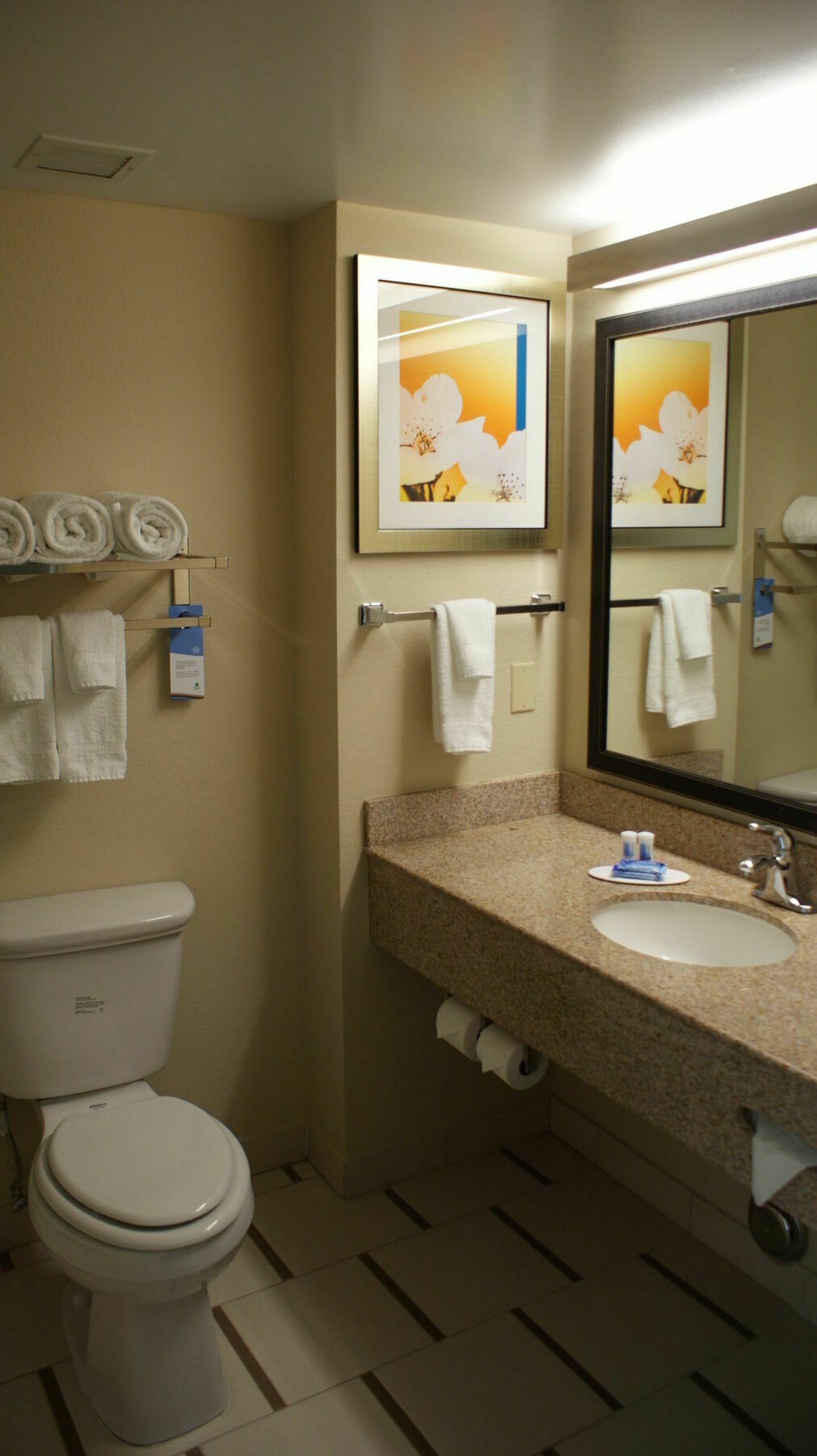 Fairfield Inn & Suites By Marriott Chesapeake Suffolk Bagian luar foto